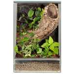 Terrarium las w szkle gekon