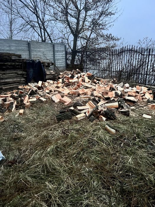 Зрізання аварійних дерев , чистка великих ділянок , різання дров