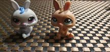 Littlest pet shop  2 króliczki