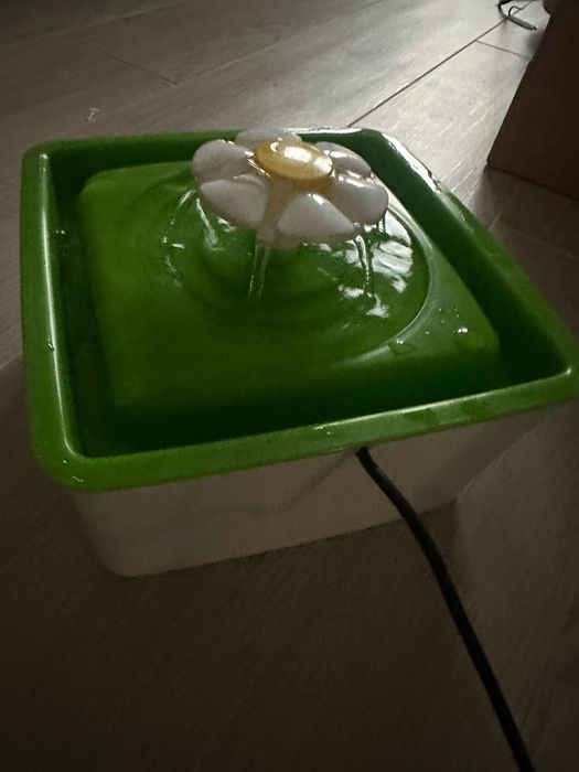 Fontanna dla kota papużek kwiatek