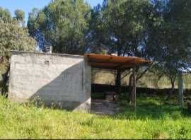 Terreno rustico isolado para venda castelo branco  (Benquerenças)