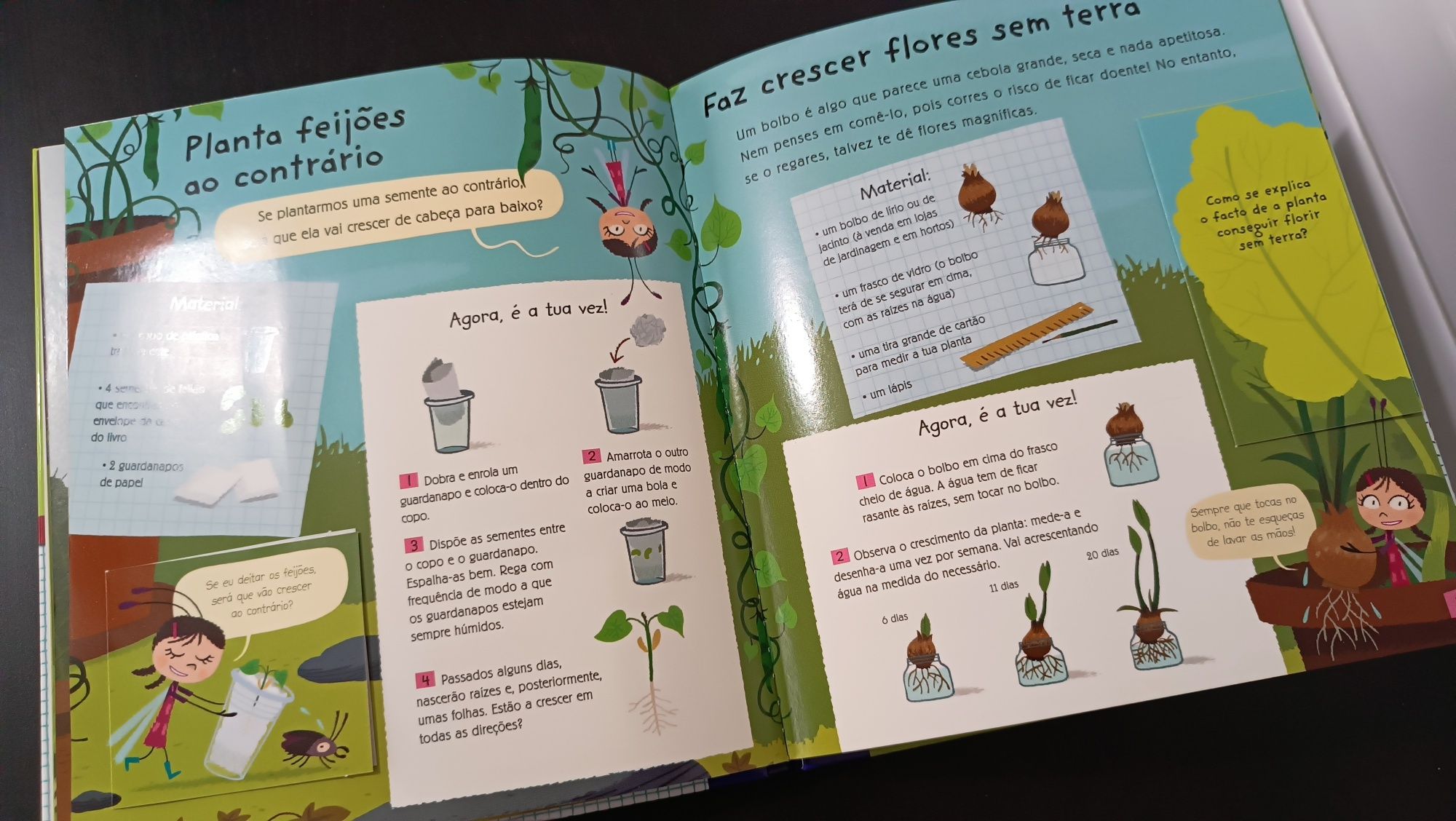 Pequenos Cientistas. Experiências com as plantas