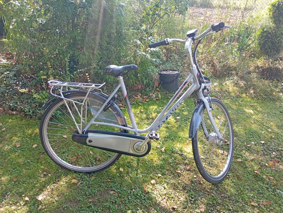 Rower elektryczny Batavus fuego e-go