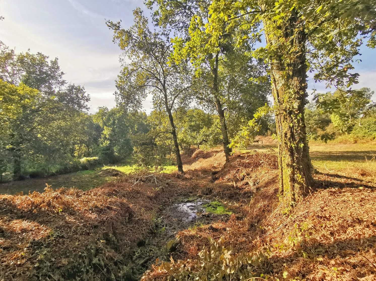 Quinta 21000m2 para moradia Monte Côrdova