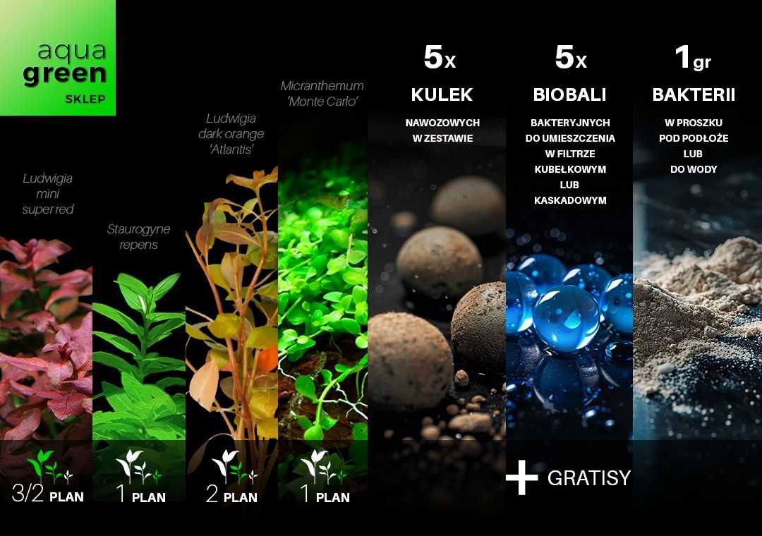 Zestaw roślin akwariowych - bardzo duży XL - 11+ gatunków + gratisy