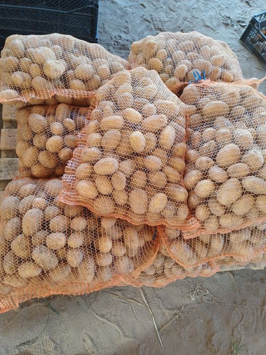 Sprzedam ziemniaki 15kg za 19zł