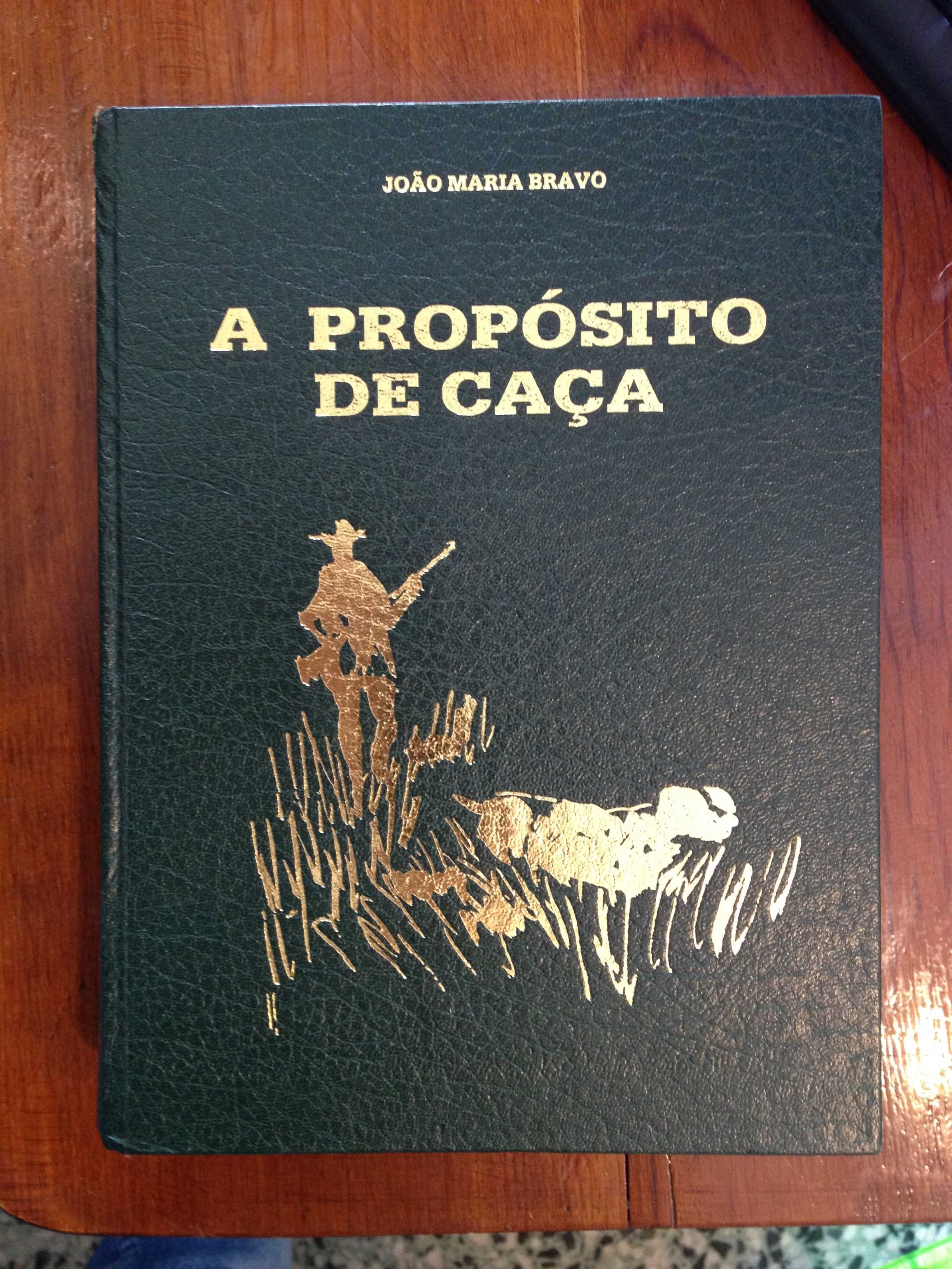 João Maria Bravo - A propósito de Caça