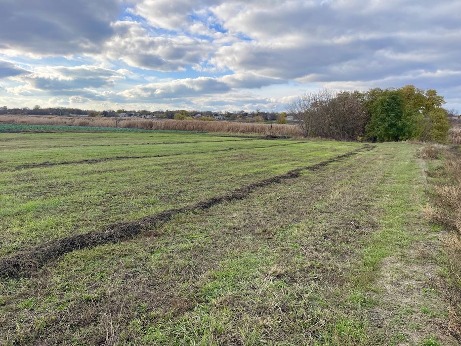 Оренда будинку в с. Губиниха 42 м² | вул. Свічкаренка