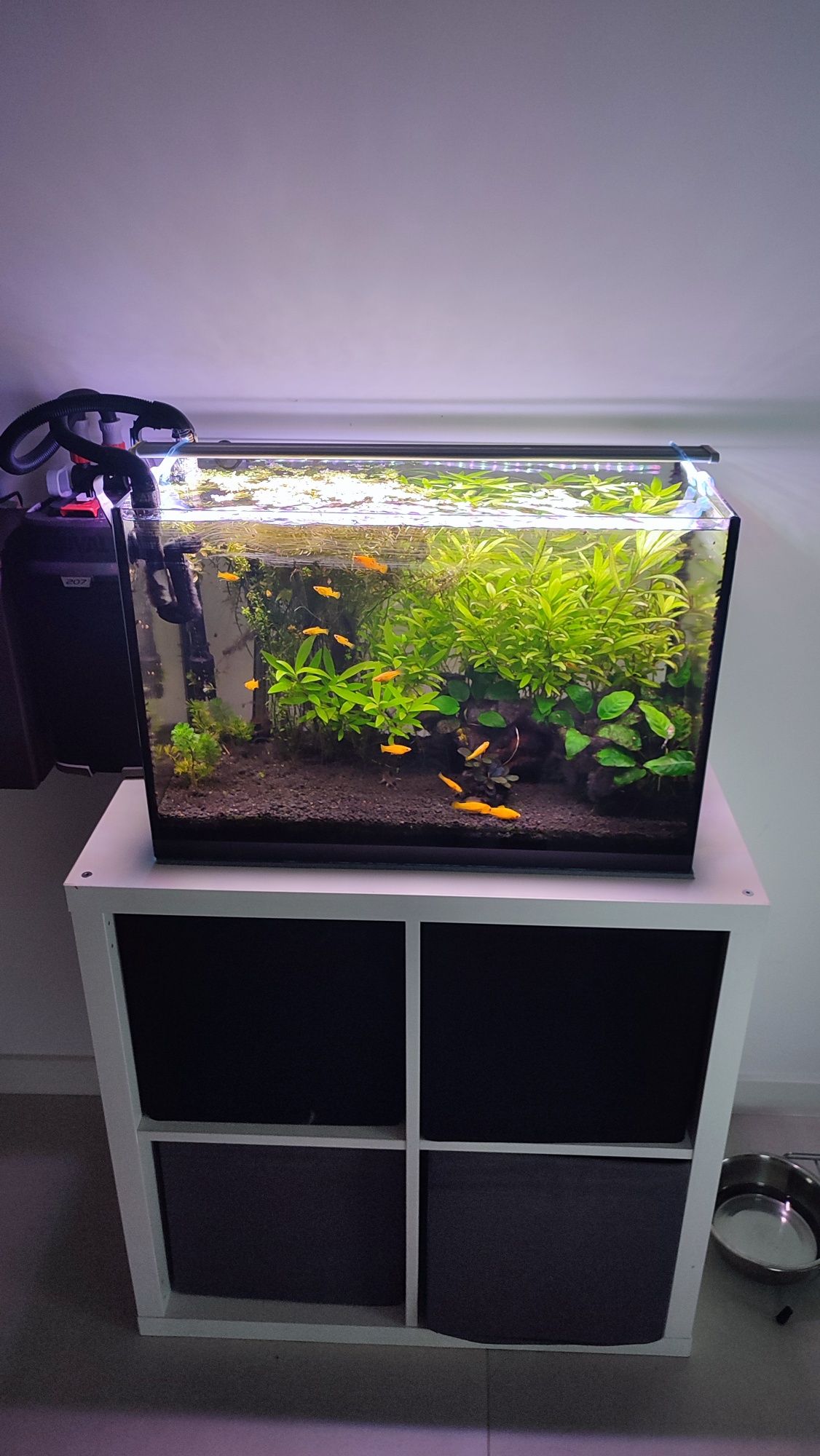 Akwarium 72l z Fluval 207