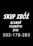 zboże jęczmień pszenżyto żyto owies