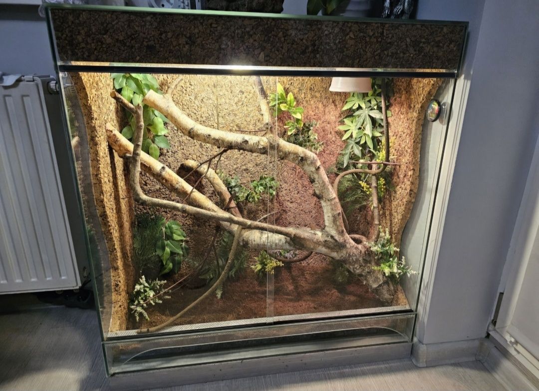 Terrarium 80x40x80