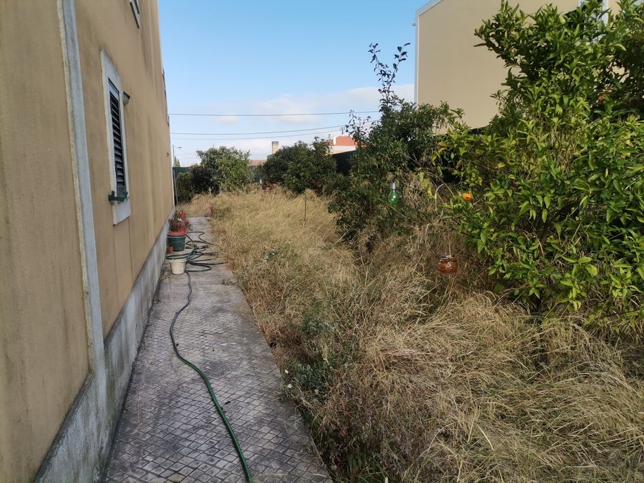 Limpeza de terrenos e jardim