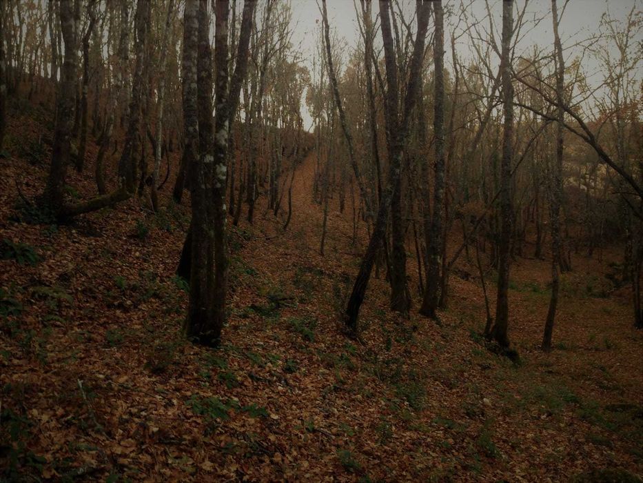 Terreno à venda, Santa Comba Dão, Ecopista do Dão 1
