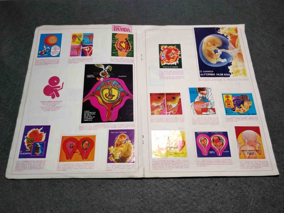 Antiga caderneta A origem da vida - falta 1 cromo