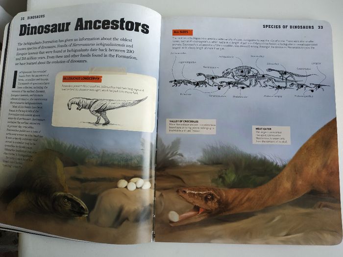 Dinosaurs. Incredible facts. Детская книга на английском языке. Новая