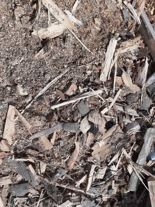 zrębki drzewne ścinki kora trociny trot użyźnianie gleby  pod borówki