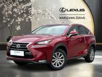 Lexus NX 300h Elite AWD + pakiet Business/ Bezwypadkowy / Salon PL / Serwis ASO
