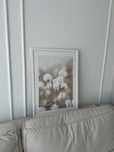 Bezowy plakat 50x70 Desenio motyw trawy bawelnianej Cottongrass plakat