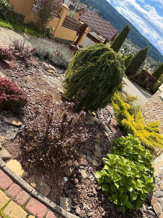 Пропонуємо   затишний будинок у мальовничій Східниці Гори  Карпати