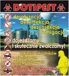 Dezynsekcja, dezynfekcja,deratyzacja, fumigacja, ozonowanie,kuny