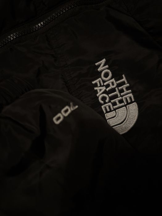 Kurtka zimowo/jesienna tnf