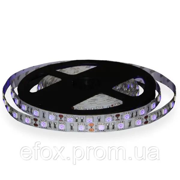 Світлодіодна стрічка ,Светодиодная лента 12V SMD 5050 (60) IP 24 Синия