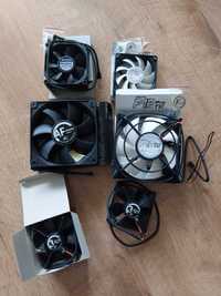 Arctic Cooling / Arctic Fan F12/F8/3 TC (5+1 gratis)