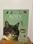 Koty - kompendium
