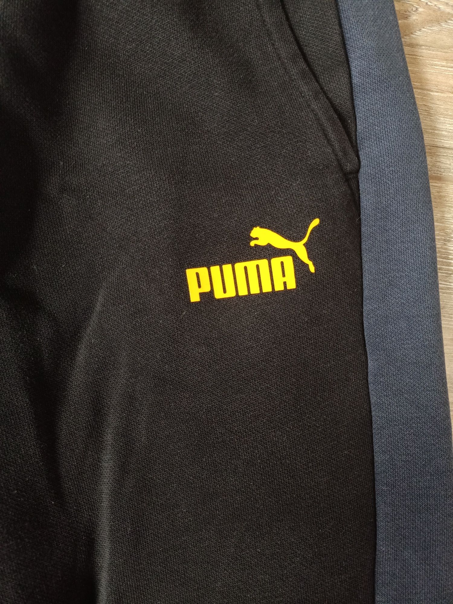 Dres Puma kolorowy.