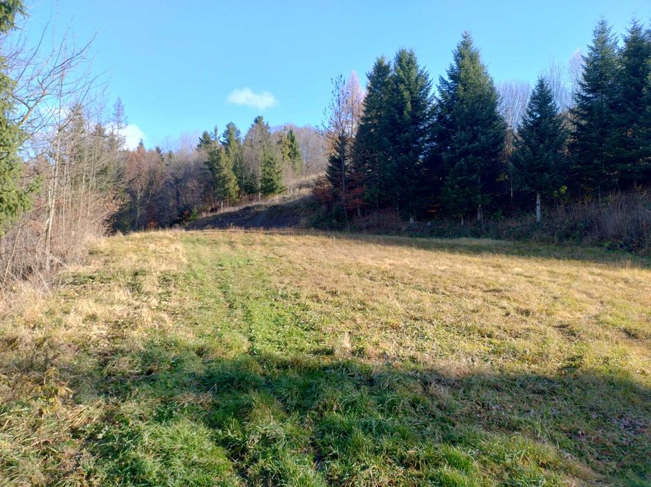 Sprzedam działkę rolną