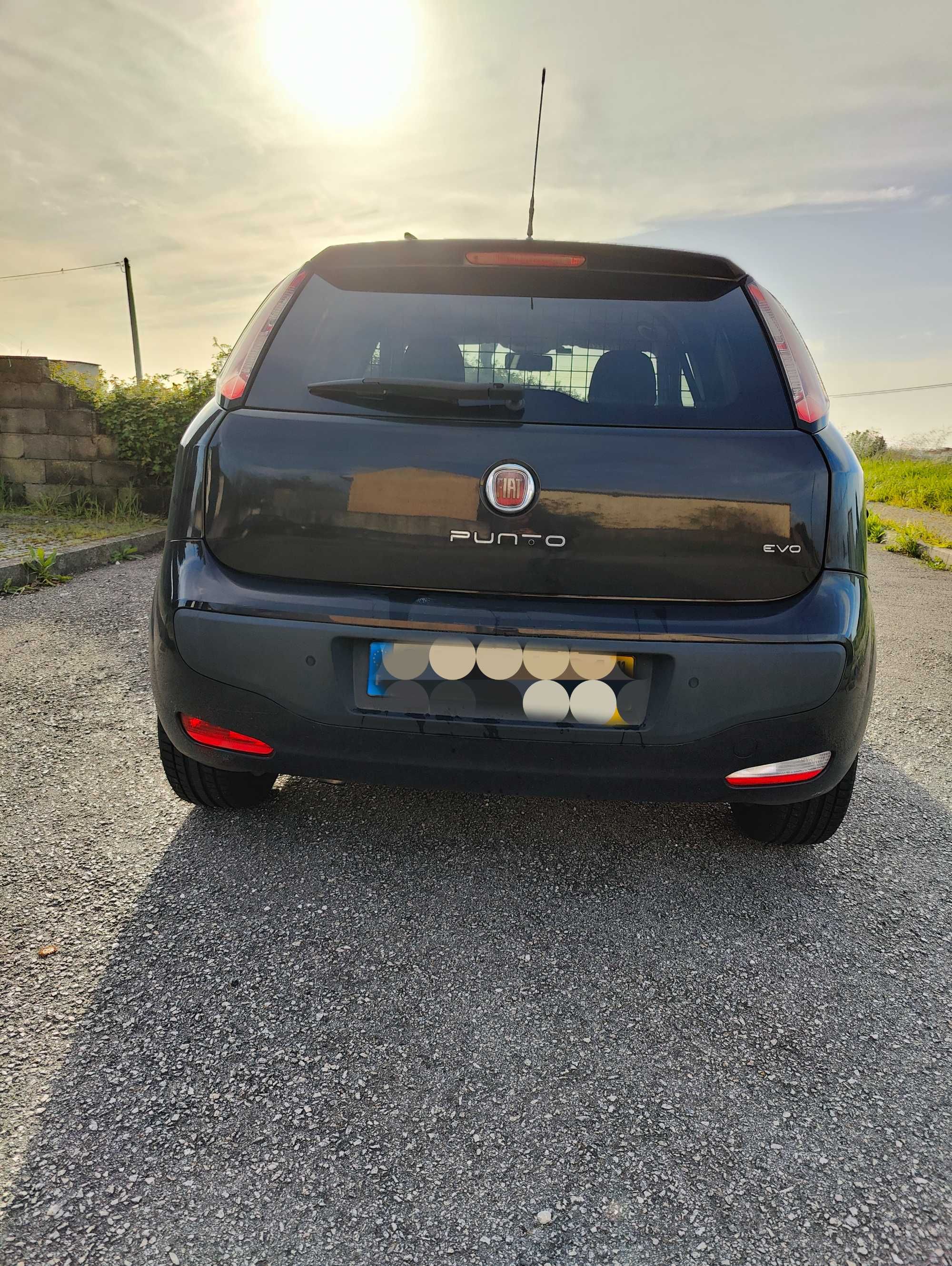 Fiat Punto Evo Van