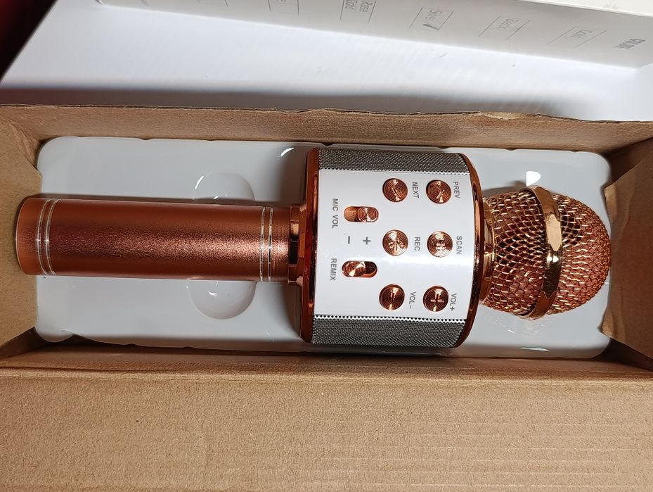 Wster WS-858 Мікрофон караоке