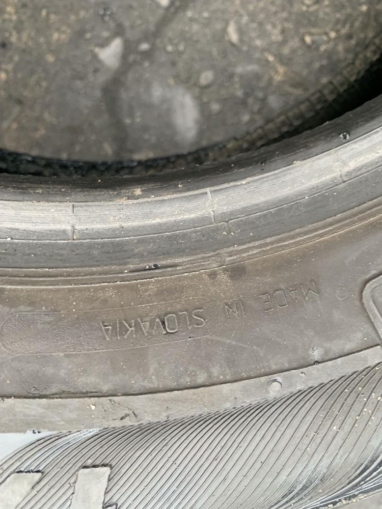 Шини 175/70 R14 пара Semperit 2022p літо 7,8/7,4мм