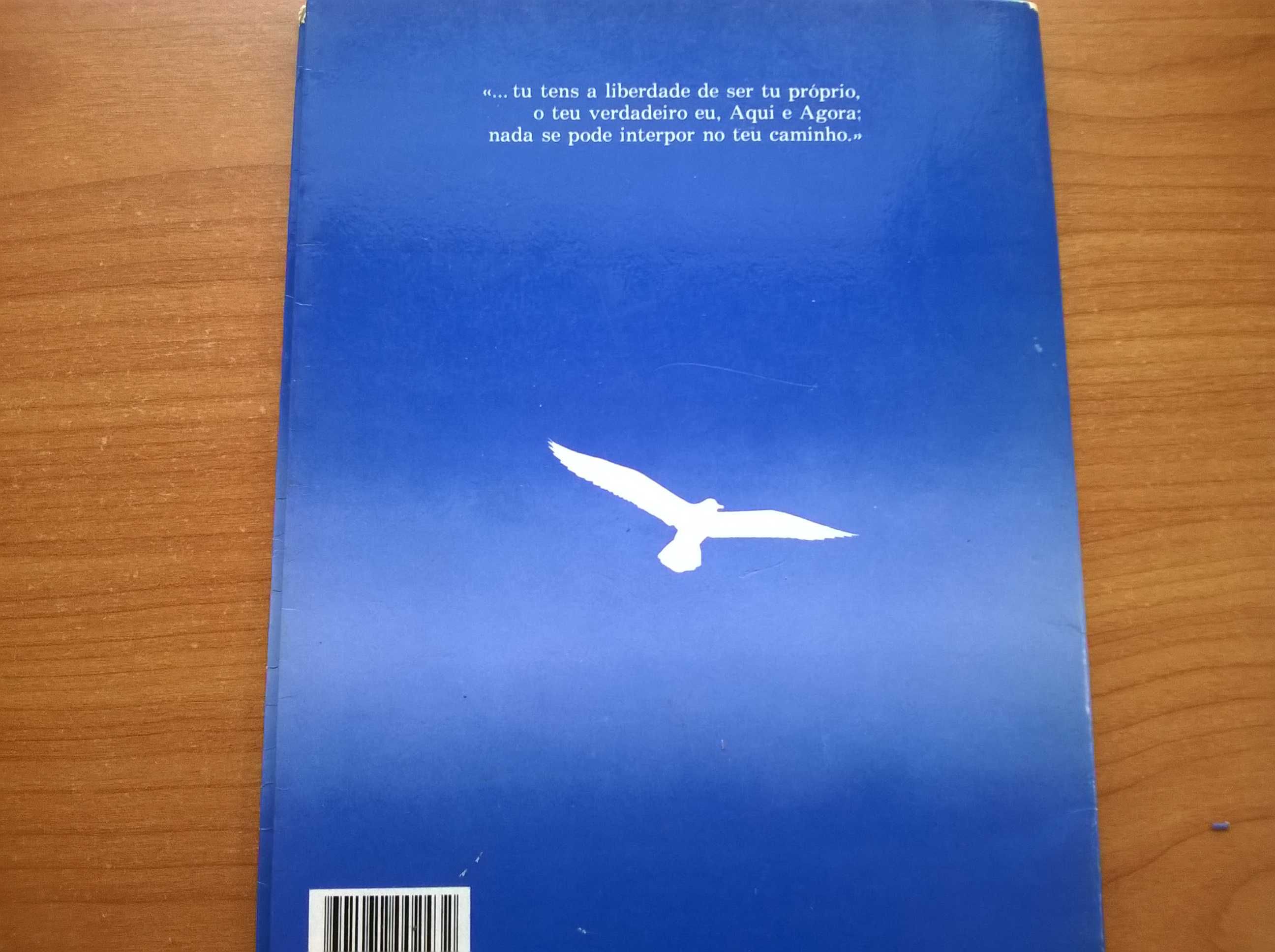 Fernão Capelo Gaivota - Richard Bach