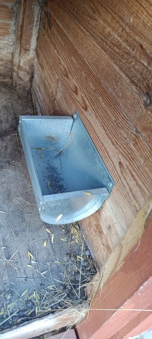 Klata dla królików