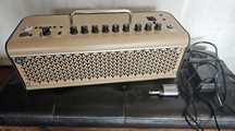 Yamaha THR30IIA + Line6 GT10TII Relay
