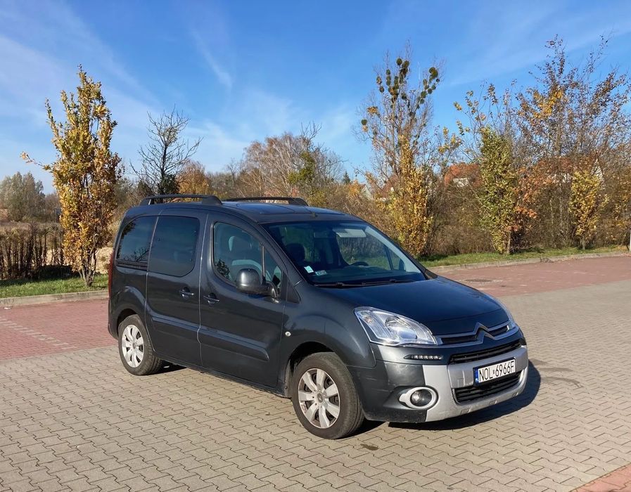 Citroën Berlingo Citroen Berlingo 1.6 HDI