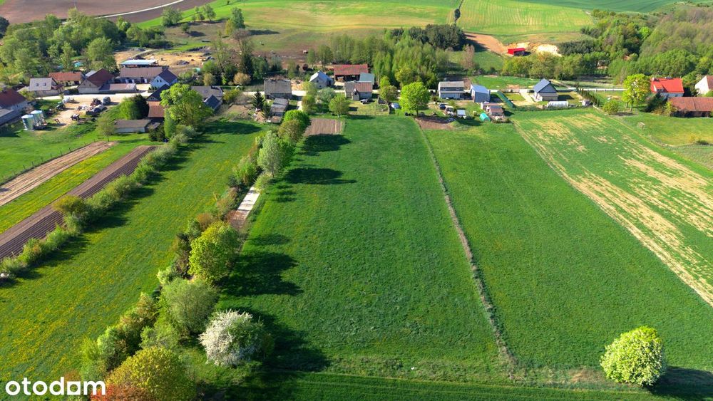 dom i działka 98ar (las, pole, strumień)