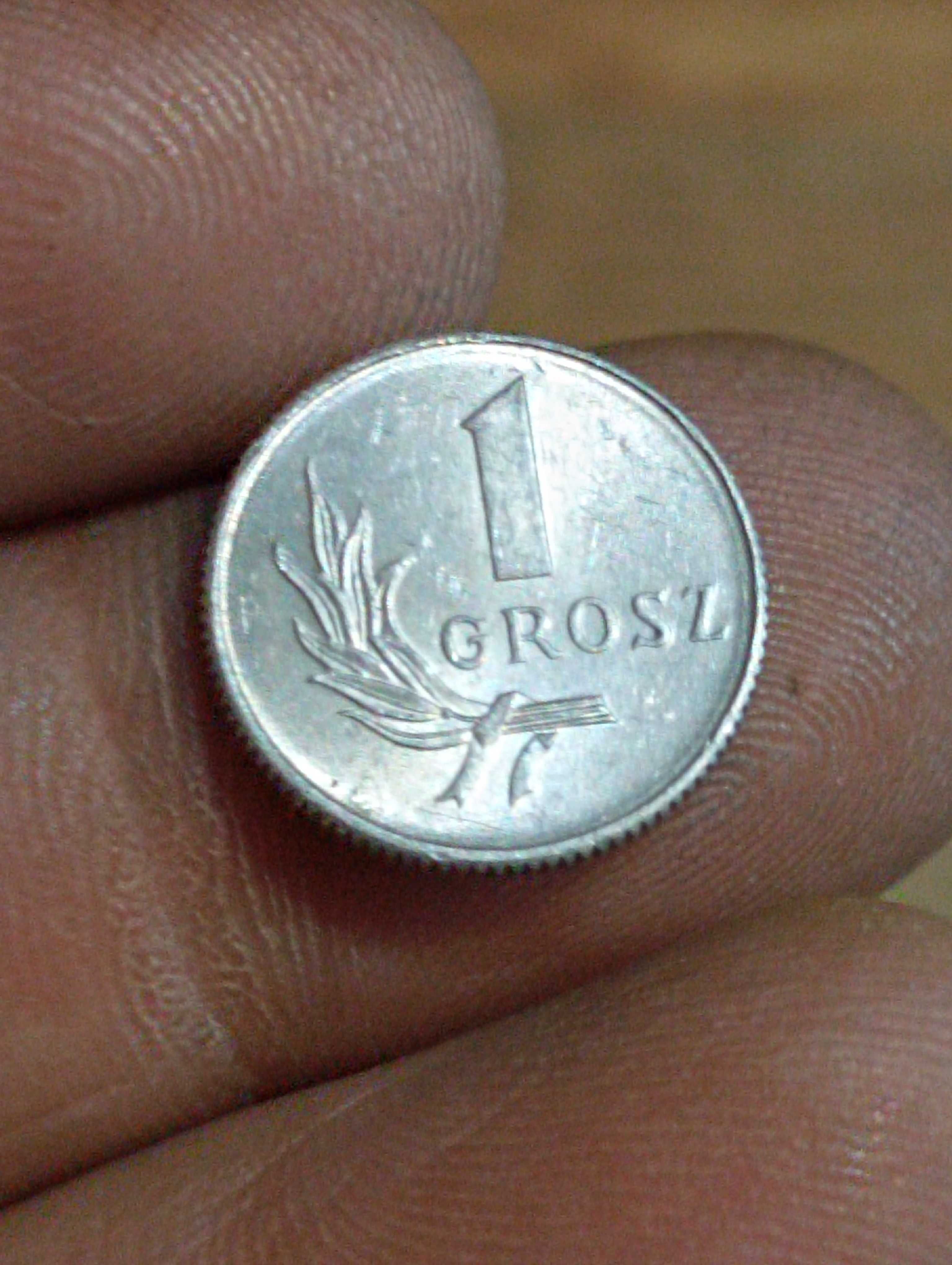 Moneta 1 grosz 1949 r bzm