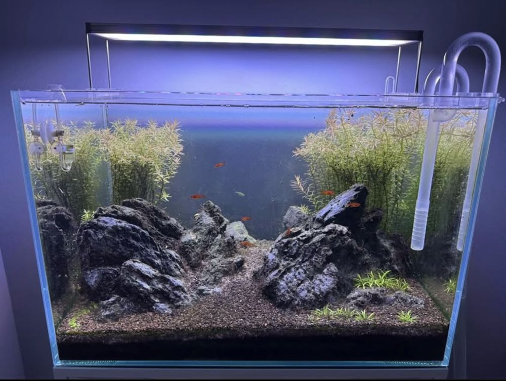 Aquário 60*40*40