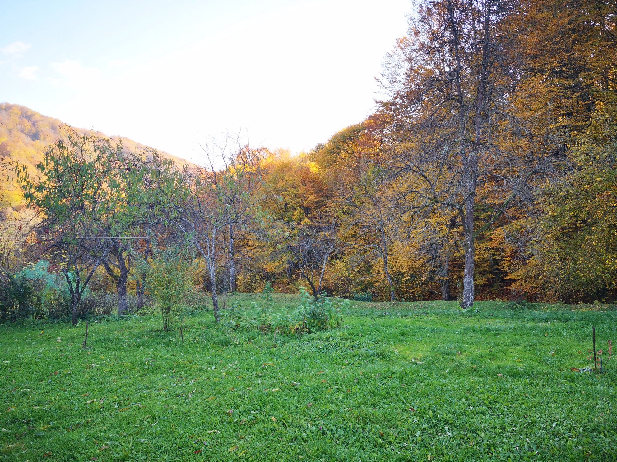 Будинок в Карпатах