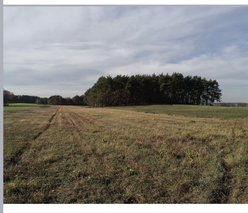 Działki budowlane Kępina gm. Tuliszkow