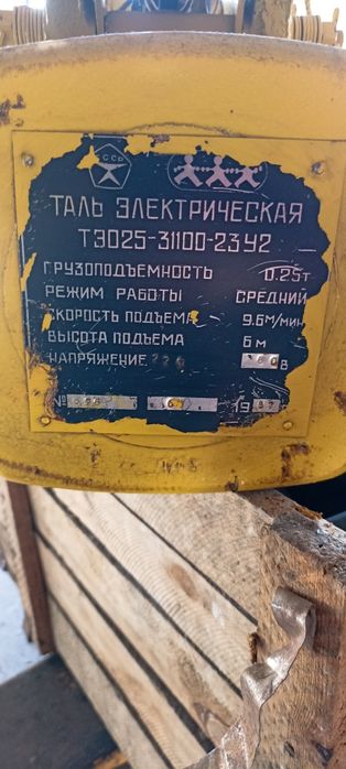 Тельфер електричний 250кг