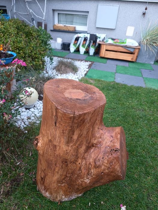 Pień z drewna bardzo duży.
