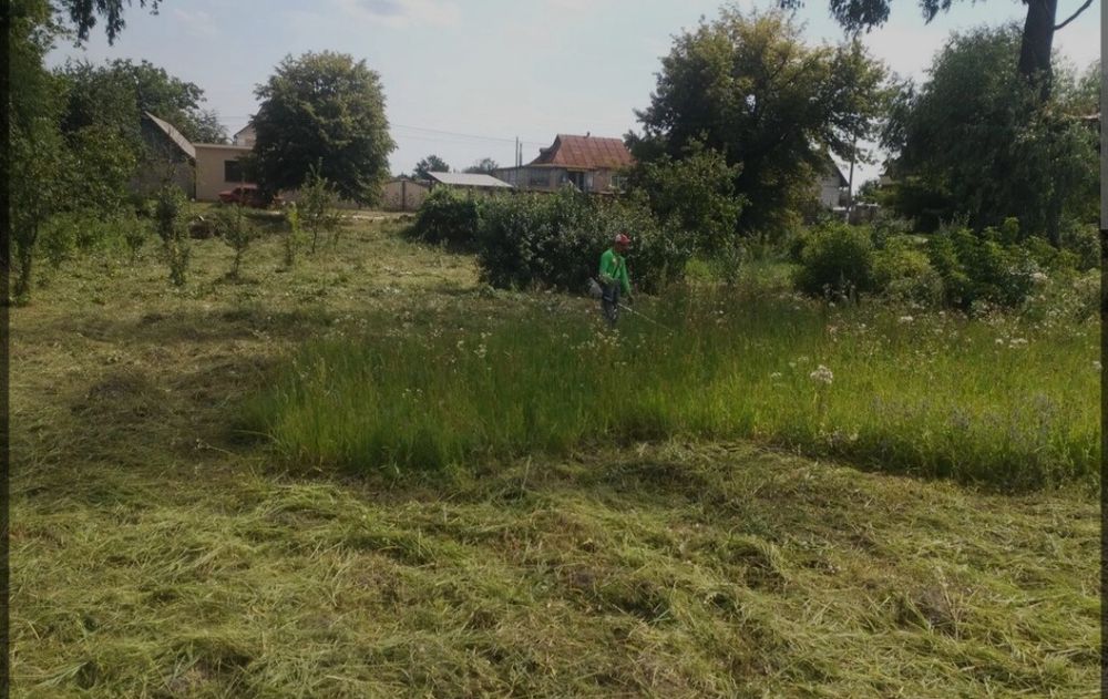 Розчистка ділянок випиляю вирубую викошую