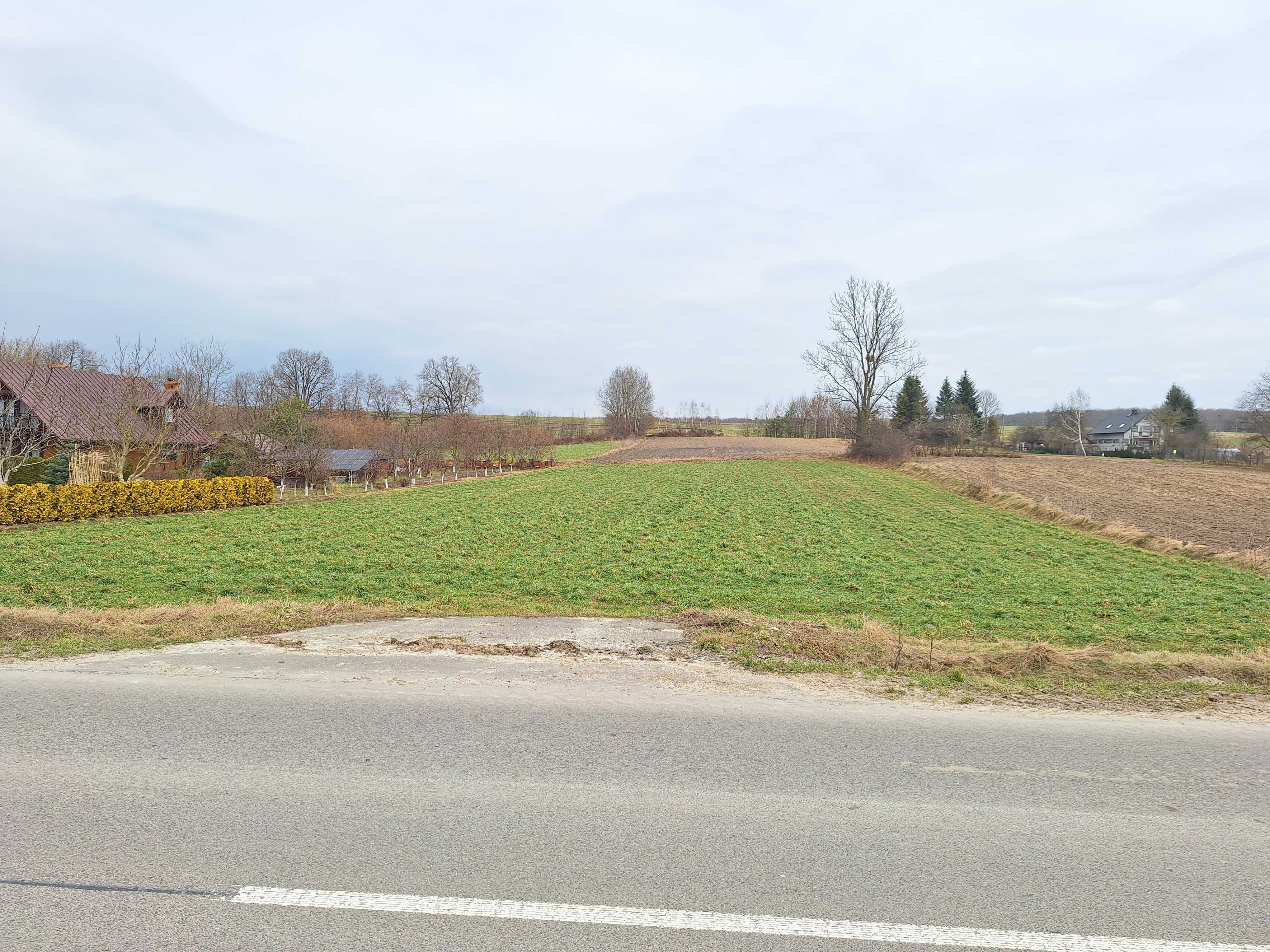 Działka Tomaszów Lubelski - Wieprzów