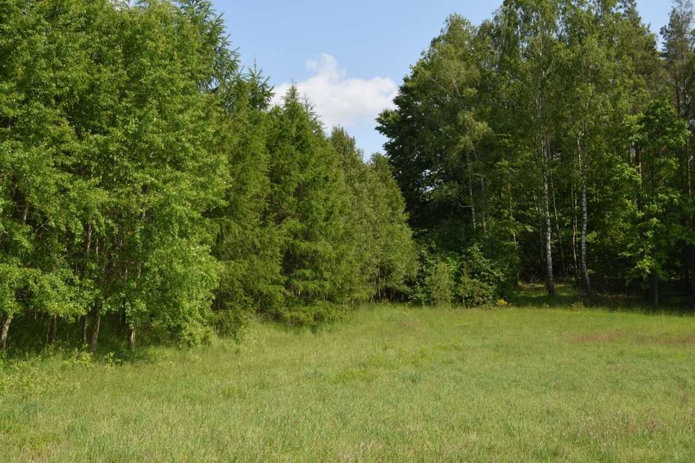 działka budowlana pod Sierakowicami