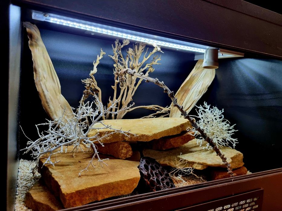 Terrarium 60x40x40 dla gekona agamy legwana węża żółwia
