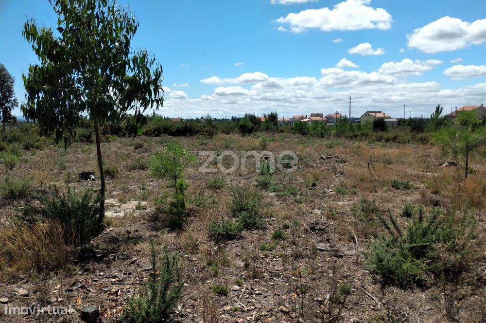 Terreno 2.196m2 em Paranhos - Seia