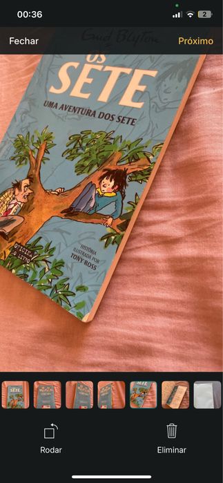 Livro “Os Sete Uma aventura dos Sete”